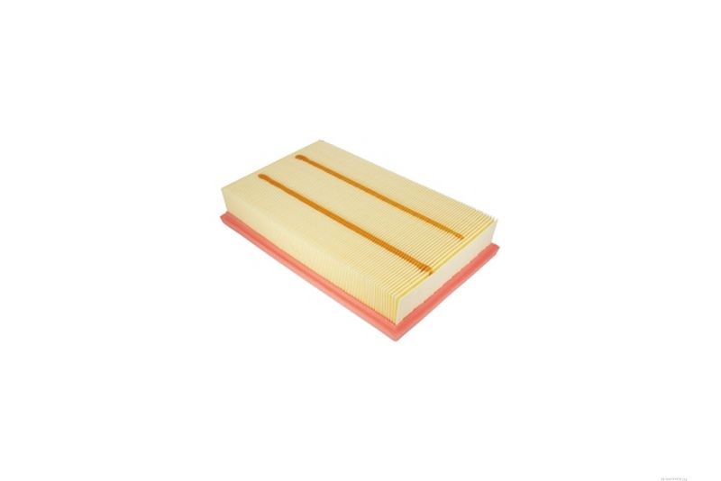 AUTOMEGA 246783410 Air Filter