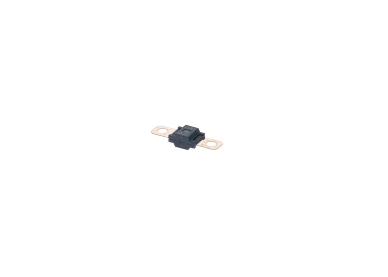 BOSCH 1987531011 Fuse