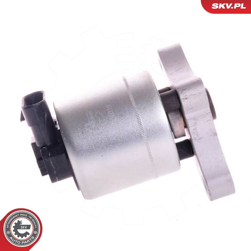 EGR-klapp, ESEN SKV 14SKV004