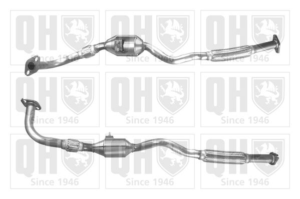 QH_QCAT90595H.JPG