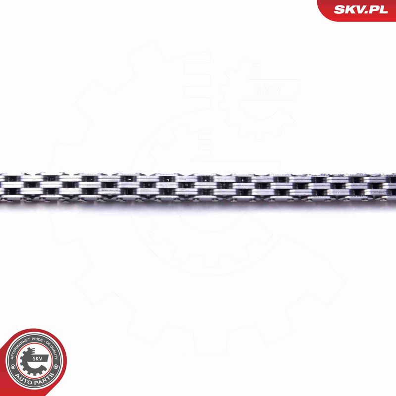 ESEN SKV 21SKV233 Timing Chain Kit
