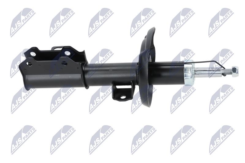 Amort, NTY A-PL-029