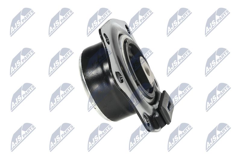 Paigutus, Mootor, NTY ZPS-CH-014