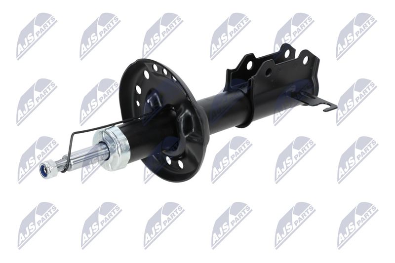Amort, NTY A-PL-029