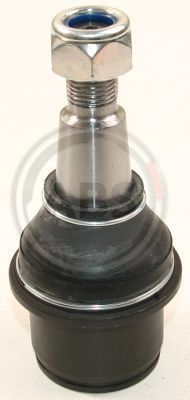 220453.JPG