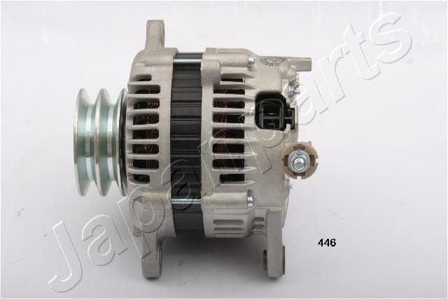 ALD446_1.JPG
