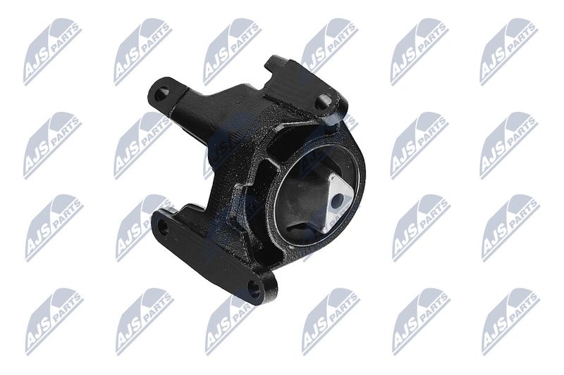 Paigutus, Mootor, NTY ZPS-CH-087