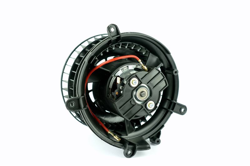 Salongipuhur, NISSENS 87152