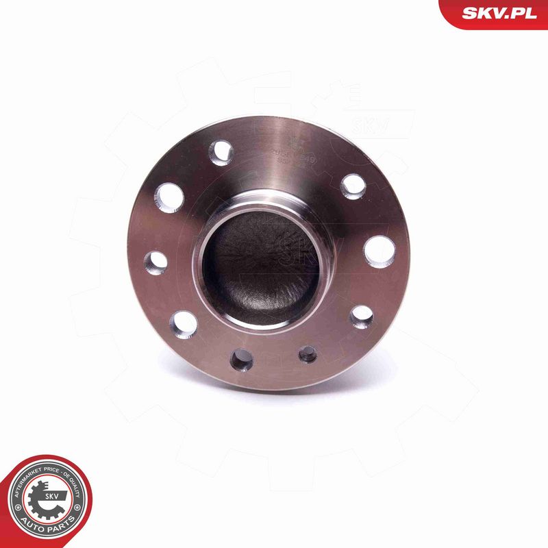 ESEN SKV 29SKV549 Wheel Bearing Kit