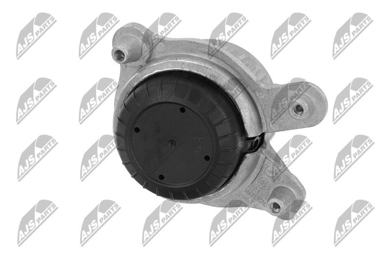 Paigutus, Mootor, NTY ZPS-ME-049