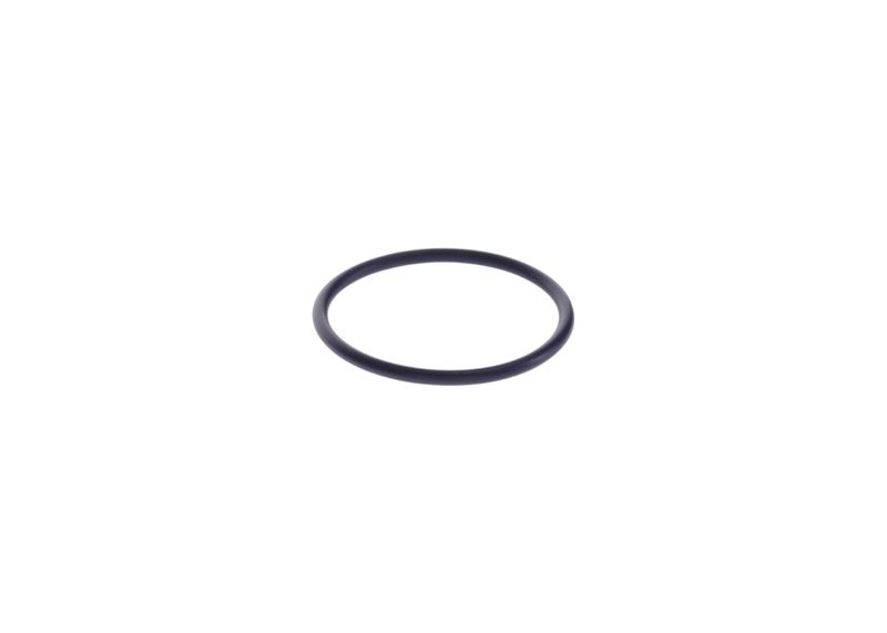BOSCH F 00H N37 149 Rubber Ring
