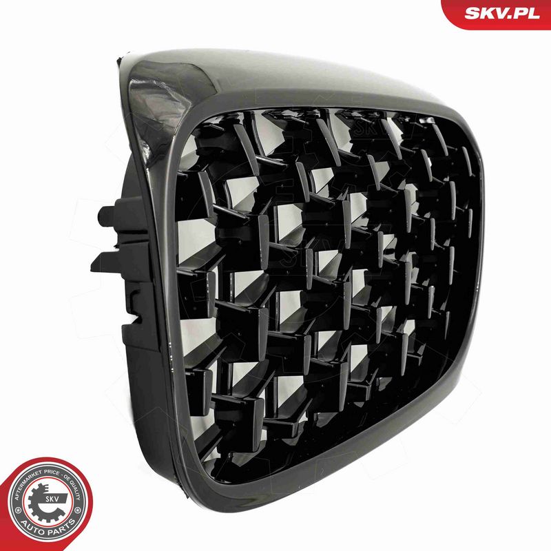 ESEN SKV 66SKV200 Radiator Grille