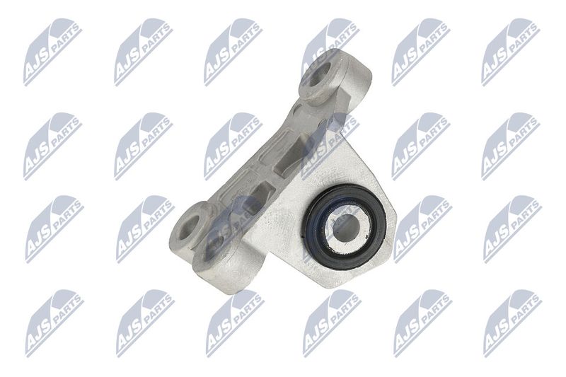 Paigutus, Mootor, NTY ZPS-CH-118