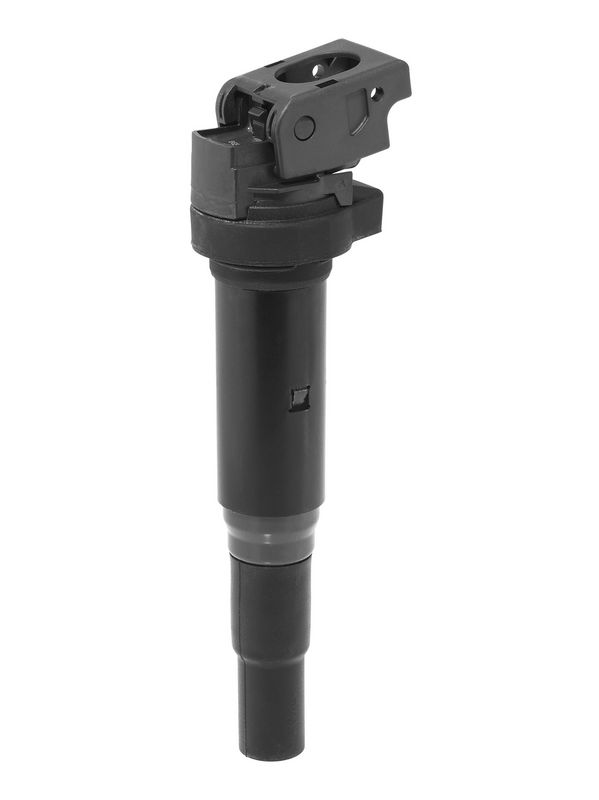 BorgWarner (BERU) ZSE143 Degimo ritė