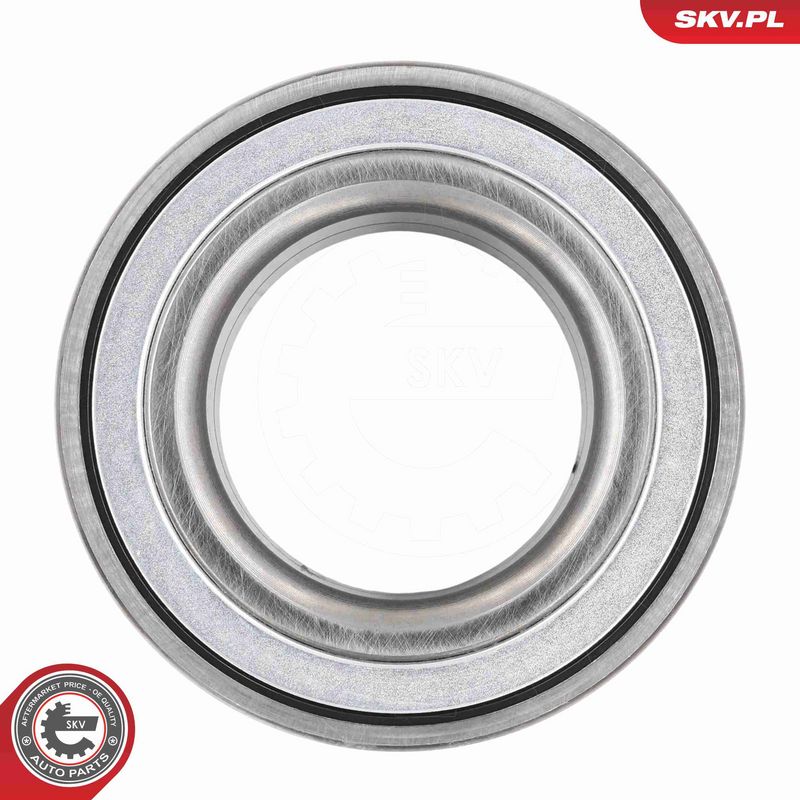ESEN SKV 85SKV066 Wheel Bearing Kit