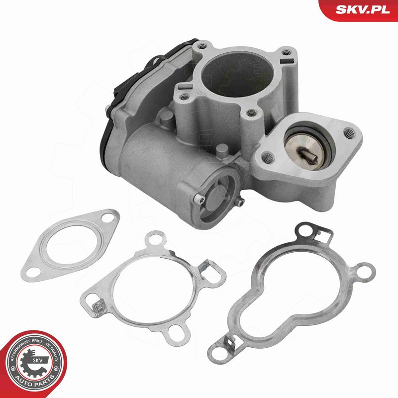 ESEN SKV 14SKV317 EGR Valve