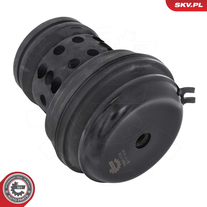 Paigutus, Mootor, ESEN SKV 75SKV238