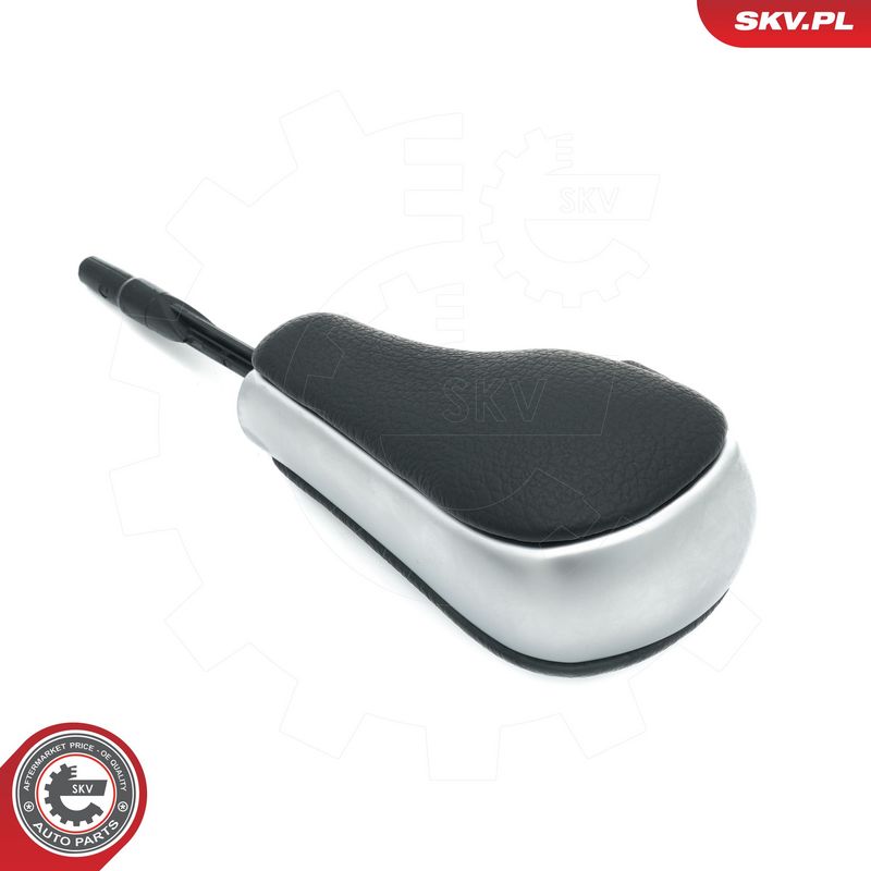 Käigukanginupp, ESEN SKV...