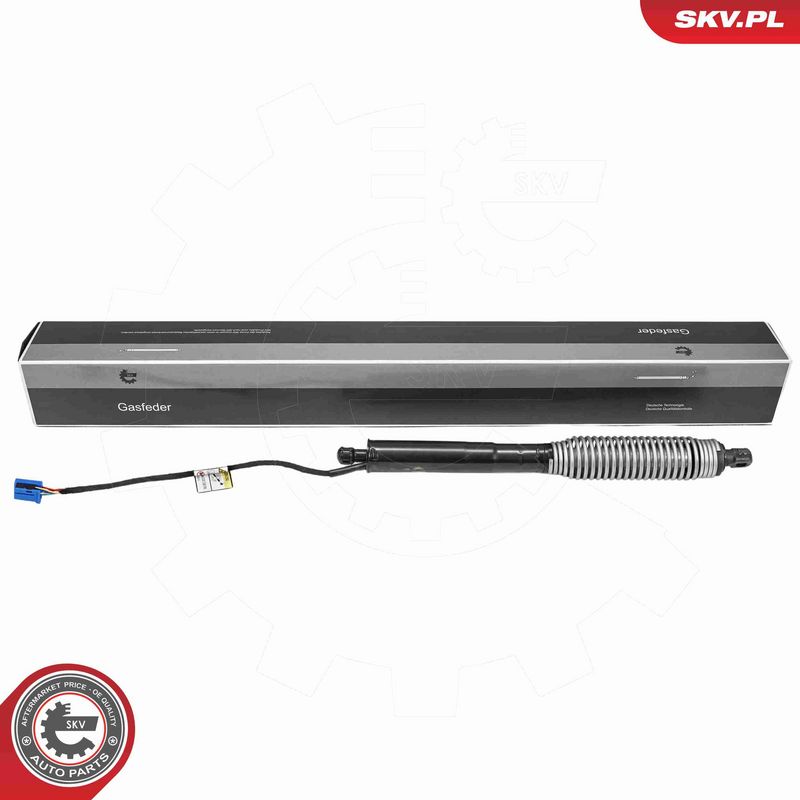 ESEN SKV 52SKV984 - Electric Motor, tailgate