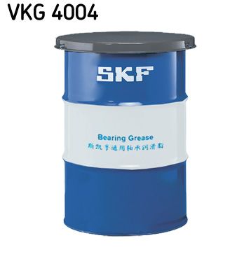 VKG 4004.JPG