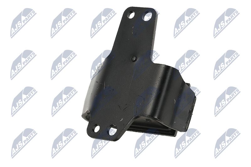 Paigutus, Mootor, NTY ZPS-NS-100