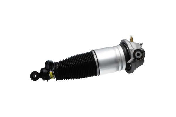 Kavo Parts SAS-10043 Air Suspension Strut