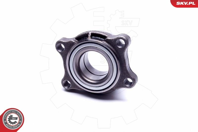 ESEN SKV 29SKV489 Wheel Bearing Kit