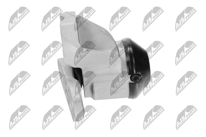 Paigutus, Mootor, NTY ZPS-FR-053