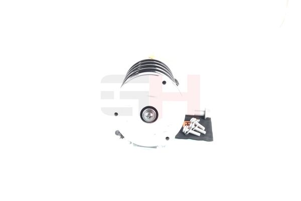 GH GH-331524C03 Suspension Strut