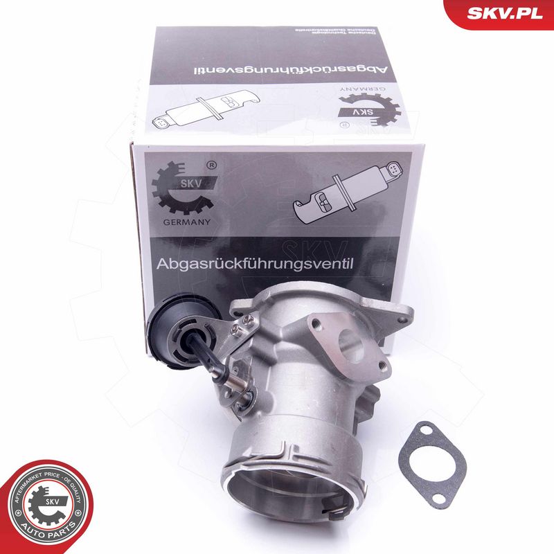 EGR-klapp, ESEN SKV 14skv093