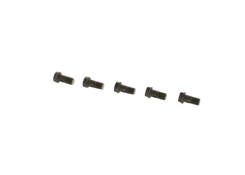 Surub F 019 D01 024 BOSCH