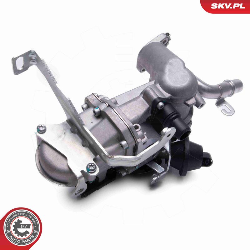 ESEN SKV 14SKV240 EGR Valve