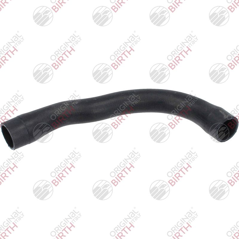 BIRTH 55297 - Radiator Hose