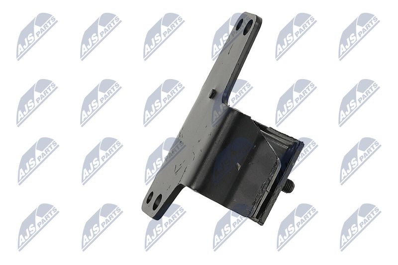 Paigutus, Mootor, NTY ZPS-NS-100
