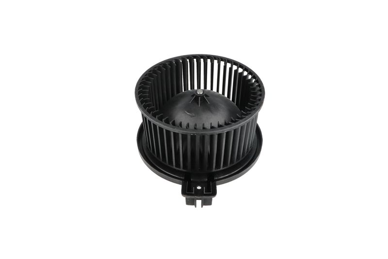 Salongipuhur, NRF 34331