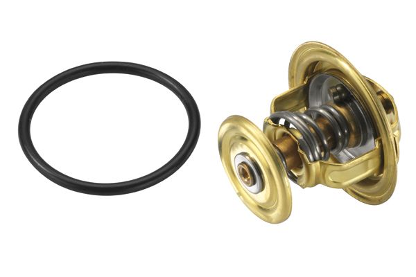 BorgWarner (Wahler) 4006.82D Thermostat, coolant