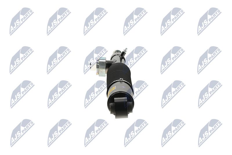 Amort, NTY A-NS-055