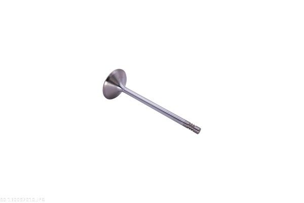 AUTOMEGA 130097010 Intake Valve