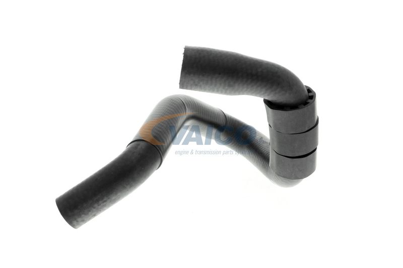 VAICO V10-4664 Talosa Radiator Hose