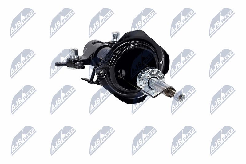 Amort, NTY A-NS-016