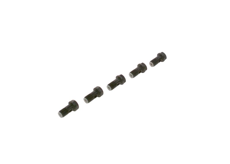 Surub F 019 D01 024 BOSCH