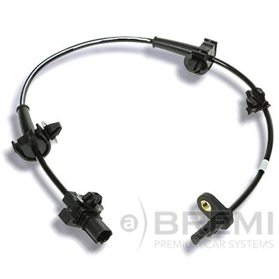 ER-00113.JPG
