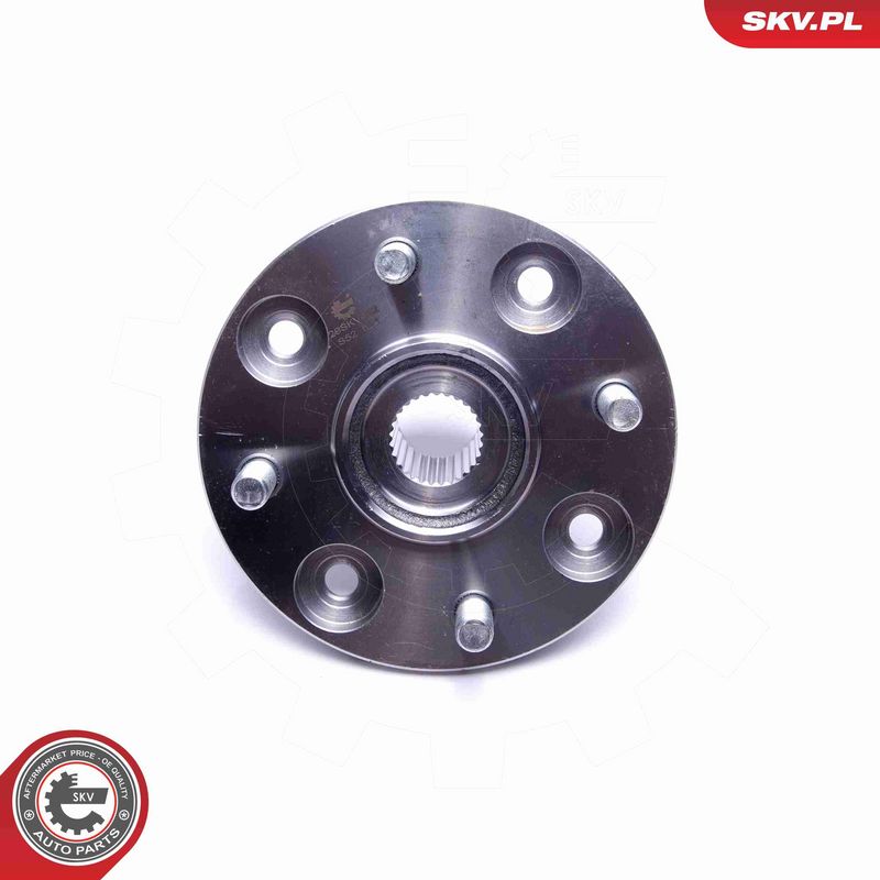 ESEN SKV 29SKV462 Wheel Bearing Kit