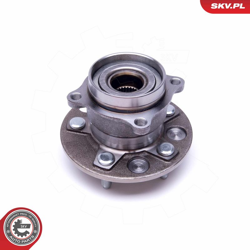 Rattalaagrikomplekt, ESEN SKV 29SKV421