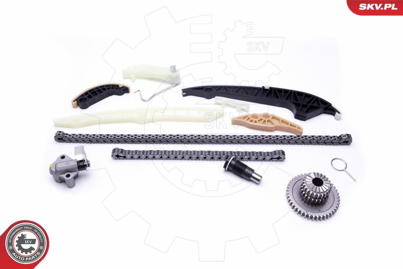 ESEN SKV 21SKV161 Timing Chain Kit