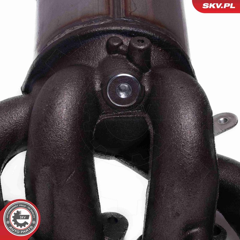 ESEN SKV 62SKV021 Catalytic Converter