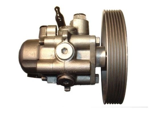 SPIDAN 53576 Hydraulic Pump, steering