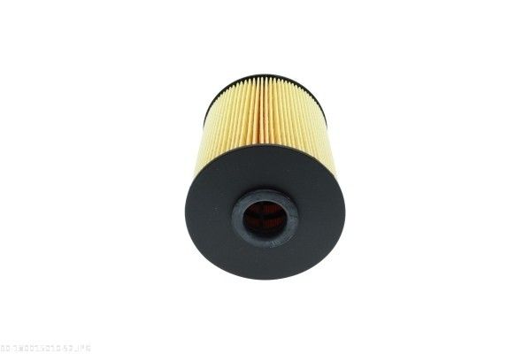 AUTOMEGA 180015010 Fuel Filter