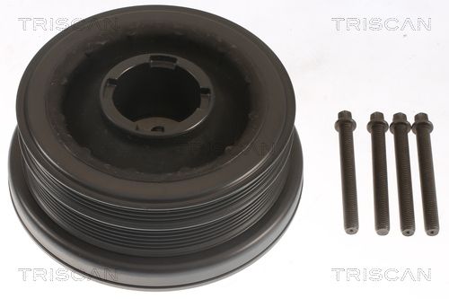 Remskive, krumtapaksel