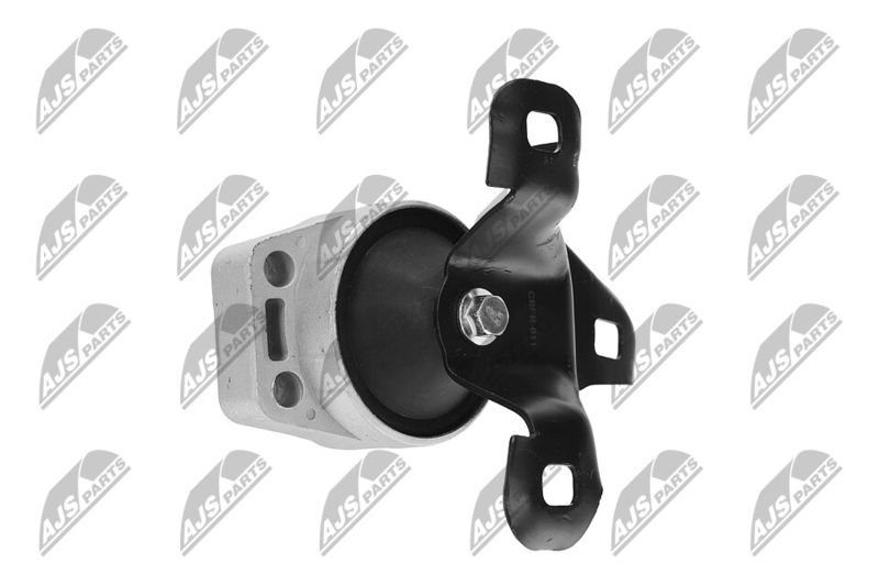 Paigutus, Mootor, NTY ZPS-FR-011